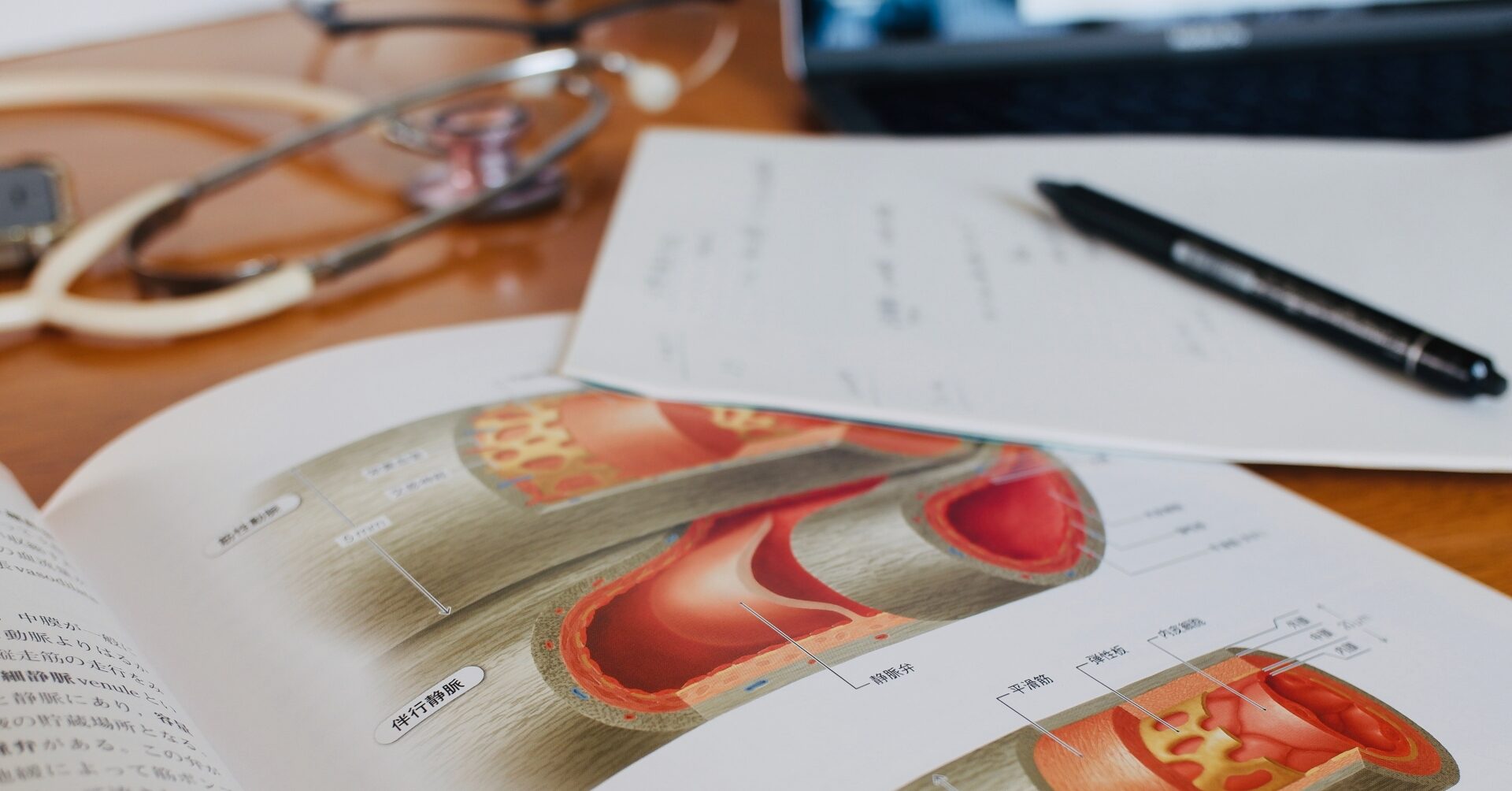 木製の机上に開かれた医学書のページ。断面図で血管の内壁構造が詳しく描かれており、左奥には聴診器、右奥には手書きのメモ用紙と黒いペン、さらに遠景にノートパソコンがぼんやり映っている。アナログ学習と基礎知識の重要性を伝えるイメージ。